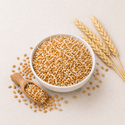 Organic Sprouted Wheat